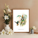 Recherche de velours posters Nature