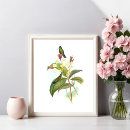 Recherche de john gould posters Nature