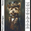 Recherche de yorkie Pour tous