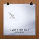 Zoek naar zeemeeuwen posters Dieren