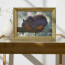 Recherche de wildlife posters Photographie de la faune