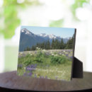 Recherche de nature plaques Pittoresque