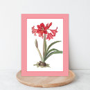 Recherche de bulbe cartes postales Floral