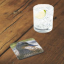 Recherche de oiseaux marins dessous de verres Pour tous