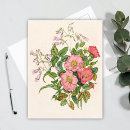 Recherche de roses sauvages cartes postales Nature