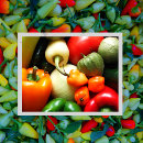 Recherche de salsa cartes postales Mexicain