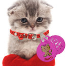 Recherche de fille animaux articles Cats