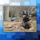 Recherche de anniversaire de chien puzzles Animal de compagnie
