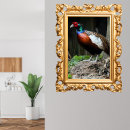 Recherche de faisan posters Nature