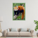 Zoek naar rode panda posters Generatieve inhoud