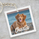 Recherche de amoureux porteclés De maman chien