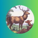 Zoek naar antilopen stickers Wild