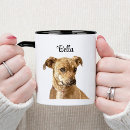 Recherche de simple chat tasses Typographie