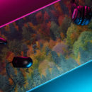 Recherche de conifères tapis souris Forêt de conifères