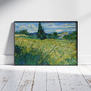 Zoek naar cipressen posters Post impressionist