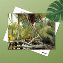 Recherche de jungle cartes postales Faune