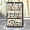 Recherche de photographie voiture accessoires Jolie