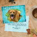 Recherche de refuge Refuge pour animaux