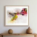 Zoek naar kolibrie posters Kogels