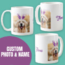 Recherche de canines tasses Dogs