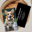 Recherche de marchant cartes visite Chien marche