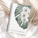 Recherche de orchidée blanche Pour elle