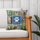 Recherche de avec photo de chien coussins Mignon