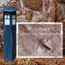 Recherche de squelette de dinosaure cartes postales Dinosaures