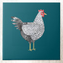 Recherche de poulet carreaux Volaille