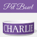 Recherche de chiens écuelles Cats