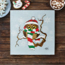 Zoek naar sneeuw uil puzzels Schattig