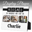 Recherche de amoureux de les chats plaques Pour tous