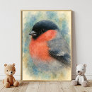 Recherche de bullfinch posters Aquarelle