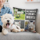 Zoek naar westie honden kussens Dogs