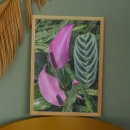 Recherche de fleurs tropicales roses posters Botanique