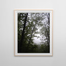 Recherche de foggy posters Photographie