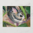 Recherche de lapin de bébé cartes postales Nature