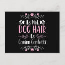 Recherche de chiens drôles cartes postales Animal