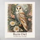 Recherche de barn owl posters Chouette