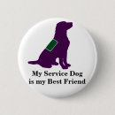 Recherche de entretenez le chien Animal
