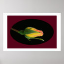 Recherche de bourgeon rose posters Fleur