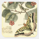 Zoek naar bloemen stickers Rood