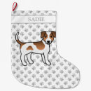 Recherche de danois chaussette de noël Animal