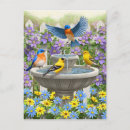 Recherche de oiseau coloré cartes postales Pour elle