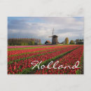 Recherche de bulbe cartes postales Pays bas