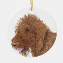 Zoek naar labradoodle ornamenten Labradoedle