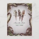 Zoek naar oerwoud vogels posters Tropen