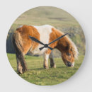 Recherche de poney horloges Équin