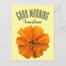 Recherche de soleil bonjour cartes postales Heureux