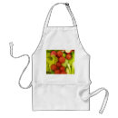 Recherche de salade tabliers Tomates